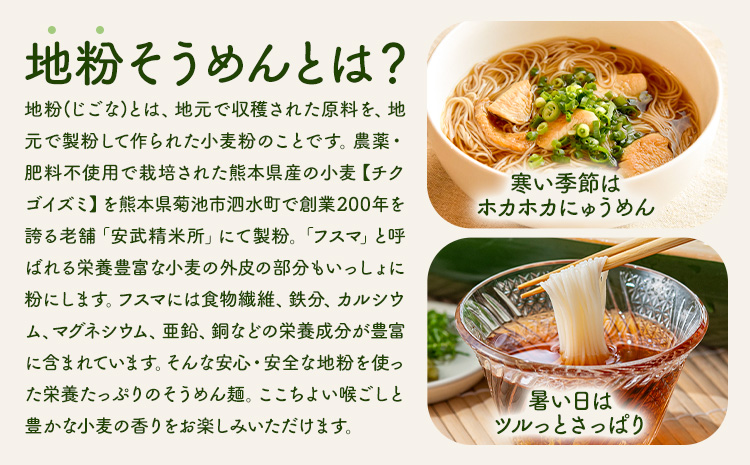 地粉の薫(かおり)そうめん 200g×10袋 合計2kg 自然栽培小麦100% 《90日以内に出荷予定(土日祝除く)》 ---047-0513---st-p