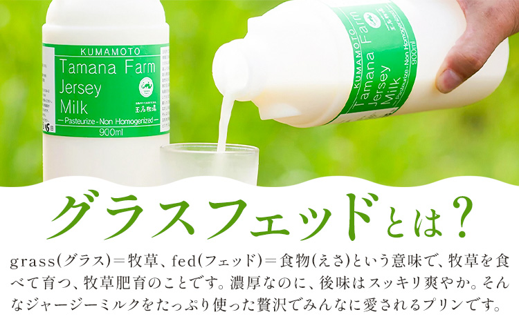 きくち村のグラスフェッドプリン 80g×6個 合計480g 箱付き自然派素材 グラスフェッド ジャージー牛乳 プリン スイーツ 冷蔵 熊本県産 九州産 国産 送料無料 《30日以内に出荷予定(土日祝除く)》---047-2022---