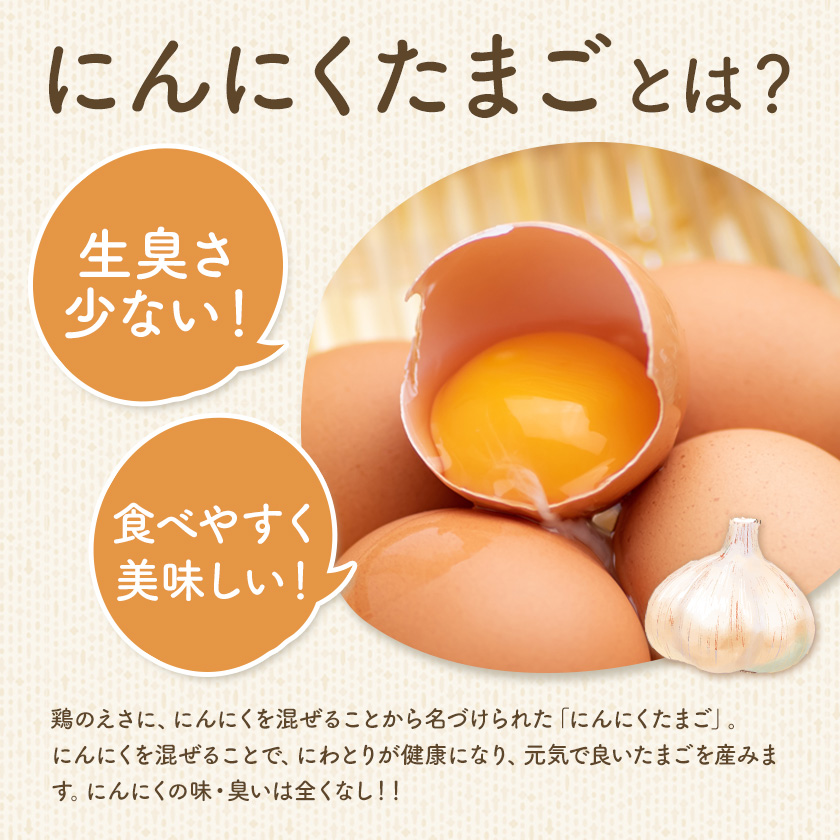卵 にんにくたまご 内容量 30個 株式会社つづき《90日以内に出荷予定(土日祝除く)》熊本県 菊池市 卵 たまご にんにく卵 鶏卵 熊本県産 九州産 冷蔵 送料無料---064-2486---