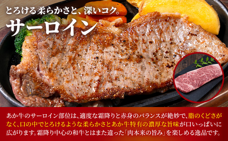 熊本あか牛 極上ステーキ 3品 セット 合計約4.2kg 3種類 サーロイン シャトーブリアン カイノミ 合同会社たべたせいか《30日以内に出荷予定(土日祝除く)》熊本県 菊池市 肉 牛肉 お肉 あか牛 ステーキ 希少部位 詰め合わせ 食べ比べ 熊本県産 冷凍 送料無料---069-1231---