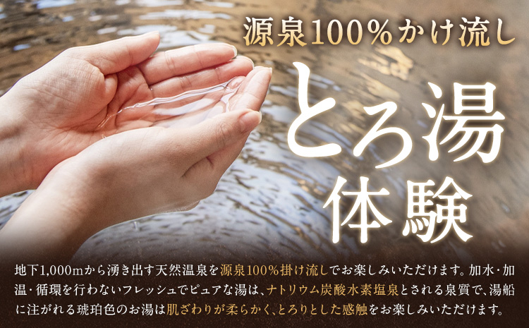 白金温泉 黄金の湯 入浴券 25枚 株式会社白金の森《30日以内に出荷予定(土日祝除く)》熊本県 菊池市 チケット 温泉 天然温泉 旅行 送料無料---075-0512---