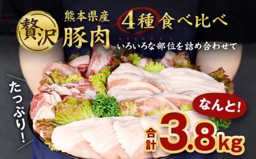 熊本県産 豚肉 ロース・モモ・スペアリブ・肩ロースもしくはバラ 詰め合わせ 4種 合計 3.8kg《30日以内に出荷予定(土日祝除く)》---083-2231---