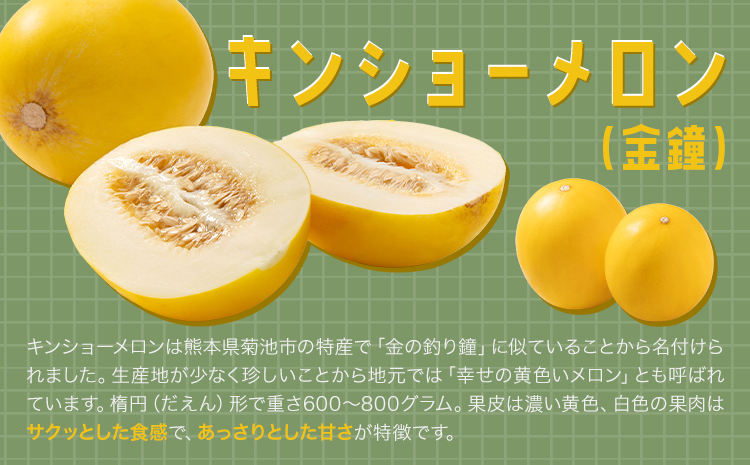 キンショーメロン 4kg(6～9玉) メロン《2026年4月上旬-7月上旬頃出荷》熊本県 菊池市 果物 フルーツ 金鐘 ノーネットメロン 黄色いメロン 菊池市産 熊本県産 九州産 送料無料---101-3001---