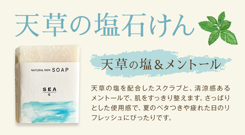 天草の塩石けん 1個 70g 石けん工房アンティーまさ《30日以内に出荷予定(土日祝除く)》熊本県 菊池市 ナチュラルソープ 石けん 石鹸 せっけん 固形石けん しお 塩 天草 天草の塩 お風呂 バス 洗顔 体洗い 洗顔ソープ 低温製法 ギフト 贈り物---109-5002---