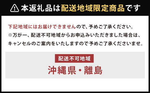 観葉植物のようなアレンジ 1個 《90日以内に出荷予定(土日祝除く)》 ドライフラワー 植物 観葉植物 花 オシャレ インテリア---123-2256---