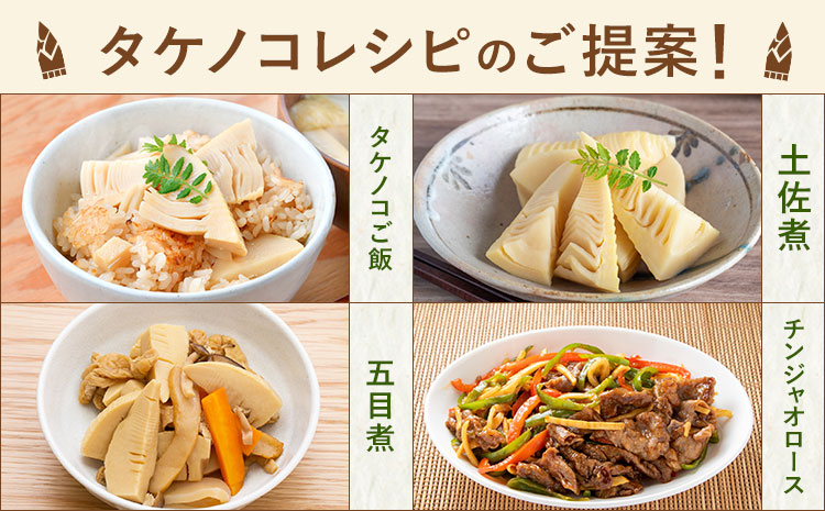 筍 朝掘りタケノコ 約2kg(2-5本) 株式会社GGYパッケージ《2026年4月上旬-4月下旬頃出荷》熊本県 菊池市 たけのこご飯 土佐煮 五目煮 チンジャオロース 野菜 国産 新鮮 旬 春 送料無料---124-2510---