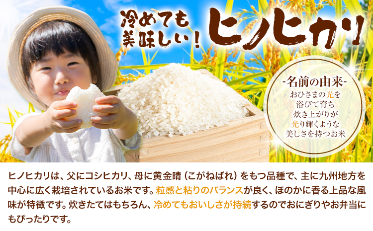 七城の恵み 詰め合わせ こだわりRed 自然栽培米 ヒノヒカリ 2kg 春風レッド メロン 1玉 株式会社七城の恵み《5月上旬頃から出荷開始》熊本県 菊池市 米 メロン ひのひかり つるたファーム---126-2148---