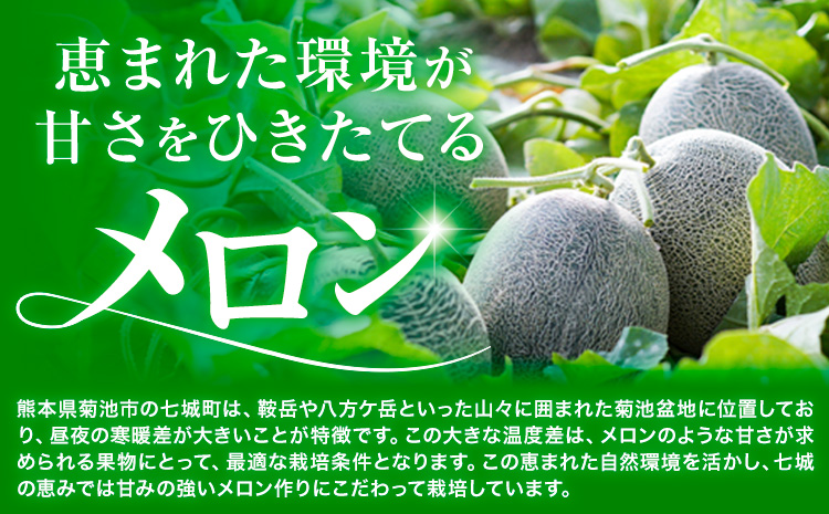 つるたファームの 朝採り 肥後グリーン メロン 1.8kg以上 2玉 株式会社七城の恵み《5月上旬頃から出荷開始》熊本県 菊池市 メロン つるたファーム---126-2513---