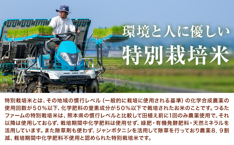 令和7年産 つるたファームの米 極にこまる 特別栽培米 にこまる 5kg 株式会社七城の恵み《11月頃から出荷開始》熊本県 菊池市 米 にこまる つるたファーム---126-2516---