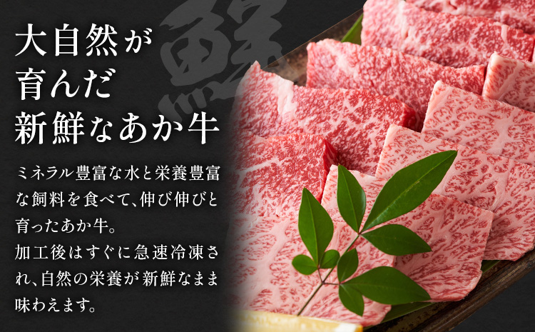 阿蘇あか牛 食べ比べセット 合計約800g 約100g×各2袋 4種類 セット 株式会社LARKS《30日以内に出荷予定(土日祝除く)》モモ 上カルビ 上ロース サーロイン お肉 和牛 あか牛 冷凍 送料無料---133-1865---