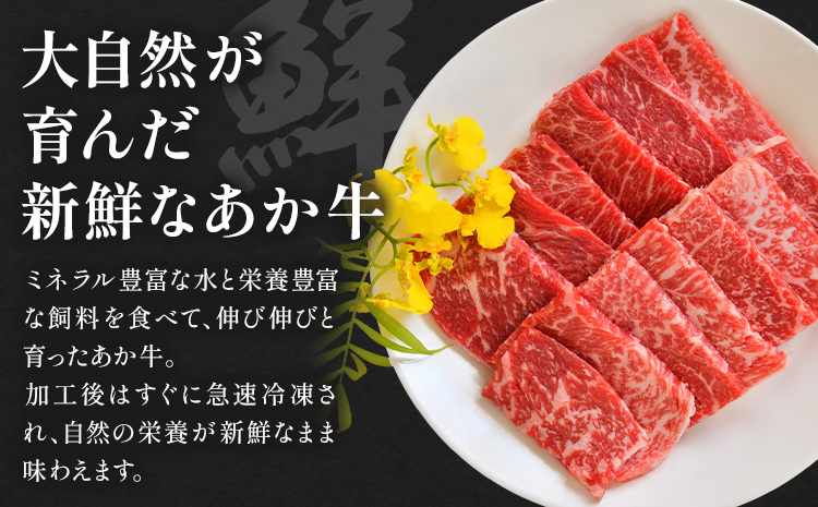 阿蘇あか牛 モモ 合計約500g 約100g×5袋 株式会社LARKS《30日以内に出荷予定(土日祝除く)》お肉 和牛 あか牛 焼肉 熊本県産 九州産 国産 冷凍 送料無料---133-1866---