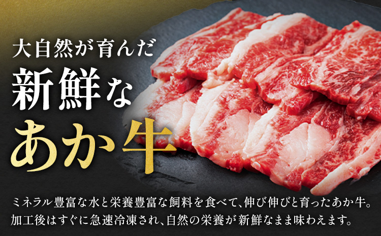 阿蘇あか牛 上カルビ 合計約500g 約100g×5袋 株式会社LARKS《30日以内に出荷予定(土日祝除く)》お肉 和牛 あか牛 焼肉 熊本県産 九州産 国産 冷凍 送料無料---133-1867---