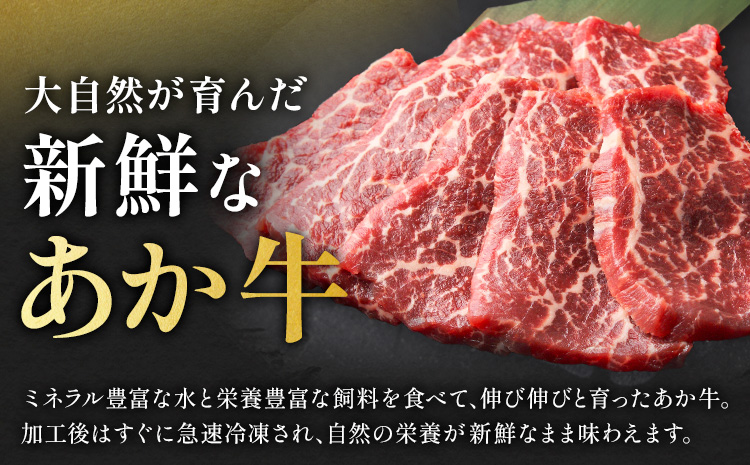 阿蘇あか牛 上ロース 合計約500g 約100g×5袋 株式会社LARKS《30日以内に出荷予定(土日祝除く)》お肉 和牛 あか牛 焼肉 熊本県産 九州産 国産 冷凍 送料無料---133-1868---