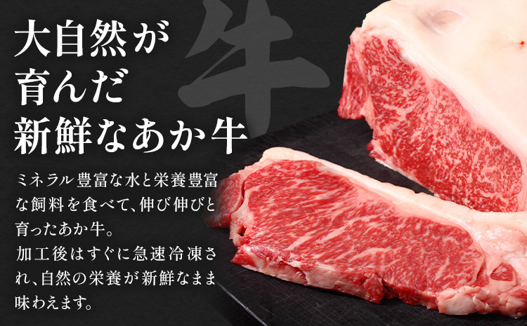 阿蘇あか牛 サーロイン 合計約500g 約100g×5袋 株式会社LARKS《30日以内に出荷予定(土日祝除く)》お肉 和牛 あか牛 ステーキ 熊本県産 九州産 国産 冷凍 送料無料---133-1869---