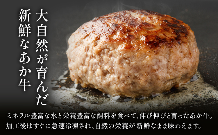 阿蘇あか牛ハンバーグ 700g 100g × 7個 株式会社LARKS《30日以内に出荷予定(土日祝除く)》ハンバーグ あか牛 牛肉 熊本県 冷凍 送料無料---133-1871---