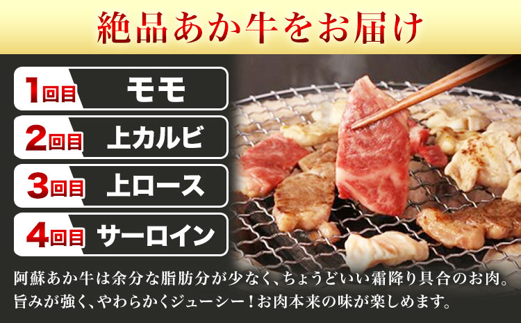 【6ヶ月定期便】阿蘇あか牛満喫セット 株式会社LARKS《お申し込み月の翌月から出荷開始》肉 牛肉 あか牛 ローストビーフ ハンバーグ 冷凍 名物 熊本県 毎月届く 送料無料---133-2114---