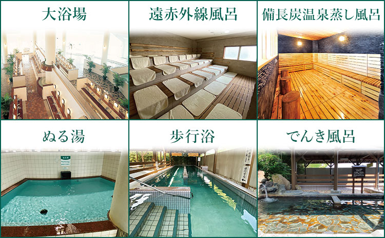 温泉 七城温泉ドーム 入浴券12枚綴り《30日以内に出荷予定(土日祝除く)》入浴券 チケット 温泉 熊本県 菊池市 七城温泉ドーム 送料無料---162-2472---