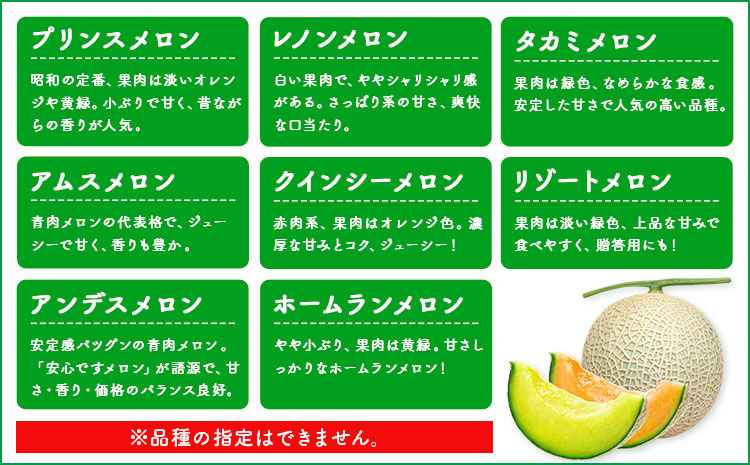 【先行予約】メロン 訳ありメロン 品種おまかせ 約4kg 2-7玉 ランダム 株式会社Foody’s 食彩たかみ《2026年5月下旬-7月下旬頃出荷》 おまかせ ご家庭用 メロン フルーツ 菊池市産 熊本県産 九州産 冷蔵 送料無料---177-2671---