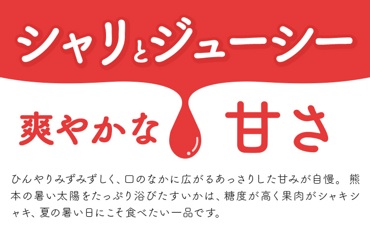 【先行予約】スイカ 訳あり 大玉すいか 1玉 約 6kg ～ 9kg L ～ 3L 混合 株式会社Foody’s 食彩たかみ 《2026年5月下旬-7月下旬頃出荷》 熊本県 菊池市 フルーツ 果物 スイカ すいか 訳あり 大玉 九州産 冷蔵 送料無料---177-2673---
