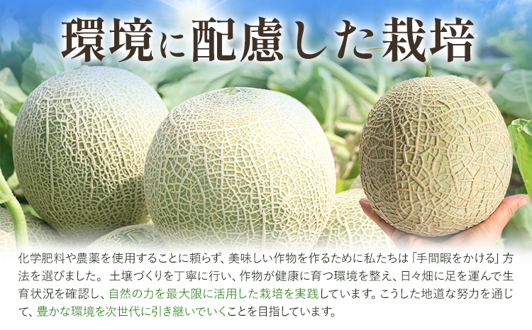 【先行予約】メロン 肥後グリーンメロン 大 2L ～ 3L サイズ 2玉 約1.6～2kg×2 MOTOYAMA358FARM 《2026年4月中旬-6月中旬頃出荷》 熊本県 菊池市 メロン 果物 フルーツ 九州産 国産 送料無料---180-2217---
