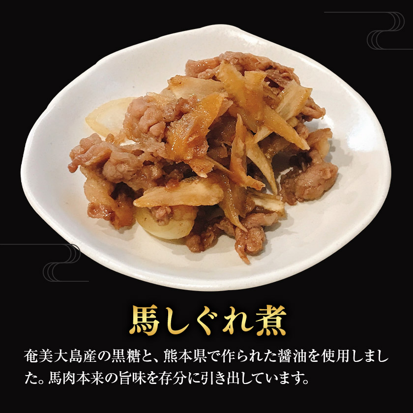 馬力セット 3種類 セット 計630g ホルモン煮込み しぐれ煮 スジ煮込み 株式会社有働精肉店《30日以内に出荷予定(土日祝除く)》熊本県 菊池市 おつまみ 惣菜 馬肉 ホルモン すじ肉 熊本県産 九州産 国産 冷凍 送料無料---181-2484---