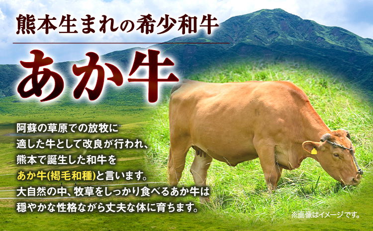 【6ヶ月定期便】あか牛 焼肉用カット 500g×6回 計3kg 五右衛門フーズ 《お申込み翌月から出荷》 熊本県 菊池市 牛肉 肉 国産 熊本県産 ブランド牛 絶品 贅沢 高級 焼肉---187-2329---