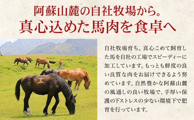 国産 馬刺し 赤身 600g 亀井通産株式会社(株式会社フジチク) 《30日以内に出荷予定(土日祝除く)》 小分け 馬肉 刺身 冷凍 熊本県 菊池市 送料無料 ---189-2387---