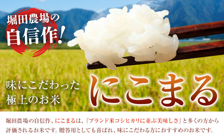七城のお米 にこまる 5kg 真空パッケージ 白米 精米 令和7年産 堀田農場《30日以内に出荷予定(土日祝除く)》お米 熊本県 菊池市 熊本県産 九州産 送料無料---030-2623---