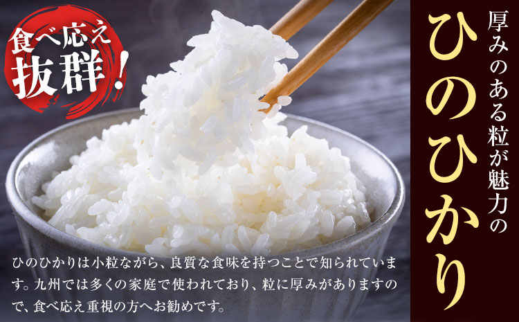七城のお米 ヒノヒカリ 5kg 真空パッケージ 白米 精米 令和7年産 堀田農場《30日以内に出荷予定(土日祝除く)》お米 ひのひかり 熊本県 菊池市 熊本県産 九州産 送料無料---030-2624---