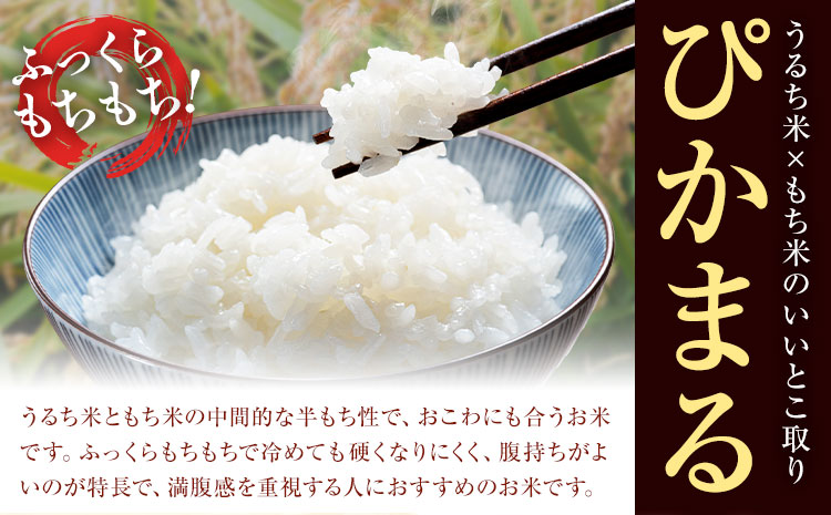 七城のお米 ぴかまる 5kg 真空パッケージ 白米 精米 令和7年産 堀田農場《30日以内に出荷予定(土日祝除く)》お米 熊本県 菊池市 熊本県産 九州産 送料無料---030-2625---