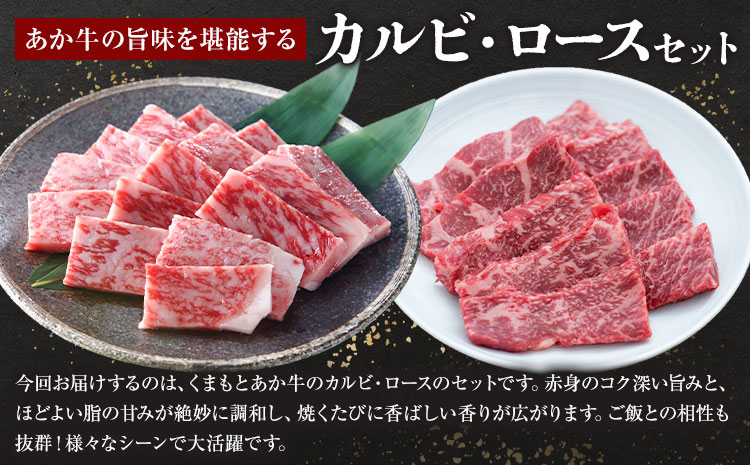 くまもとあか牛 カルビ ロース セット 約500g 有限会社草佳苑《30日以内に出荷予定(土日祝除く)》熊本県 菊池市 肉 牛肉 お肉 和牛 あか牛 焼肉 バーベキュー BBQ 熊本県産 冷凍 送料無料---311-0002---