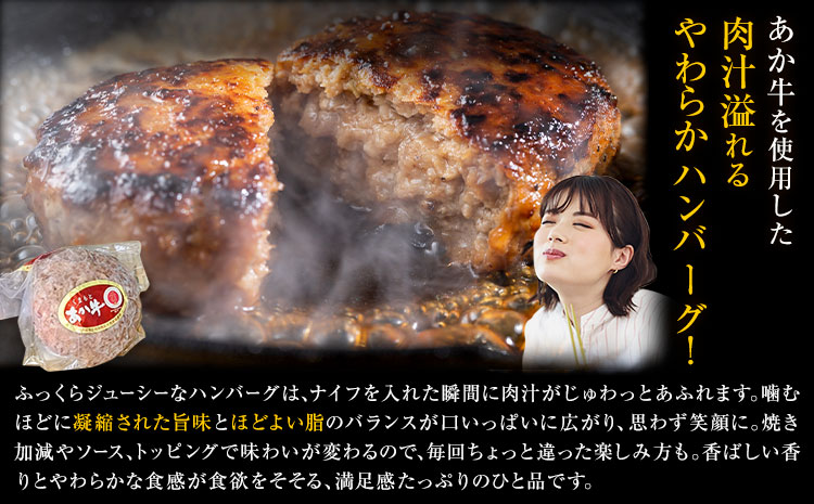 くまもとあか牛ハンバーグ 150g×6個 有限会社草佳苑《30日以内に出荷予定(土日祝除く)》熊本県 菊池市 肉 牛肉 お肉 和牛 あか牛 ハンバーグ 熊本県産 冷凍---311-0001---