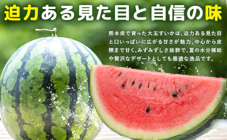 【先行予約】大玉すいか 1玉約5kg 日本フルーツ株式会社《5月上旬-６月下旬頃出荷》熊本県 菊池市 すいか スイカ 大玉 熊本県産---308-5011---