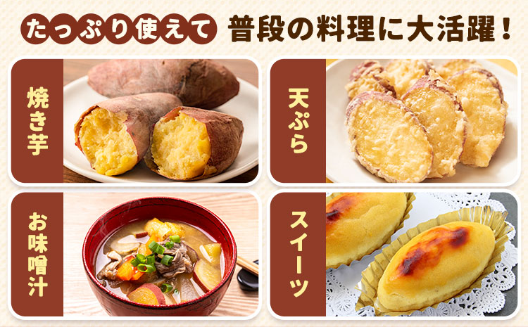 【先行予約】訳あり さつまいも 約5kg 日本フルーツ株式会社《2026年10月上旬-11月中旬頃出荷》熊本県 菊池市 さつまいも サツマイモ 訳あり 熊本県産---308-5005---