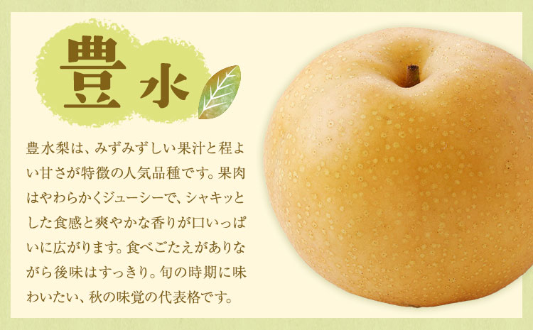 【先行予約】旬の梨 品種おまかせ 約1.8kg 日本フルーツ株式会社《2026年8月上旬-10月上旬頃出荷》熊本県 菊池市 梨 なし 豊水 秋月 新高 和梨 熊本県産---308-5001---