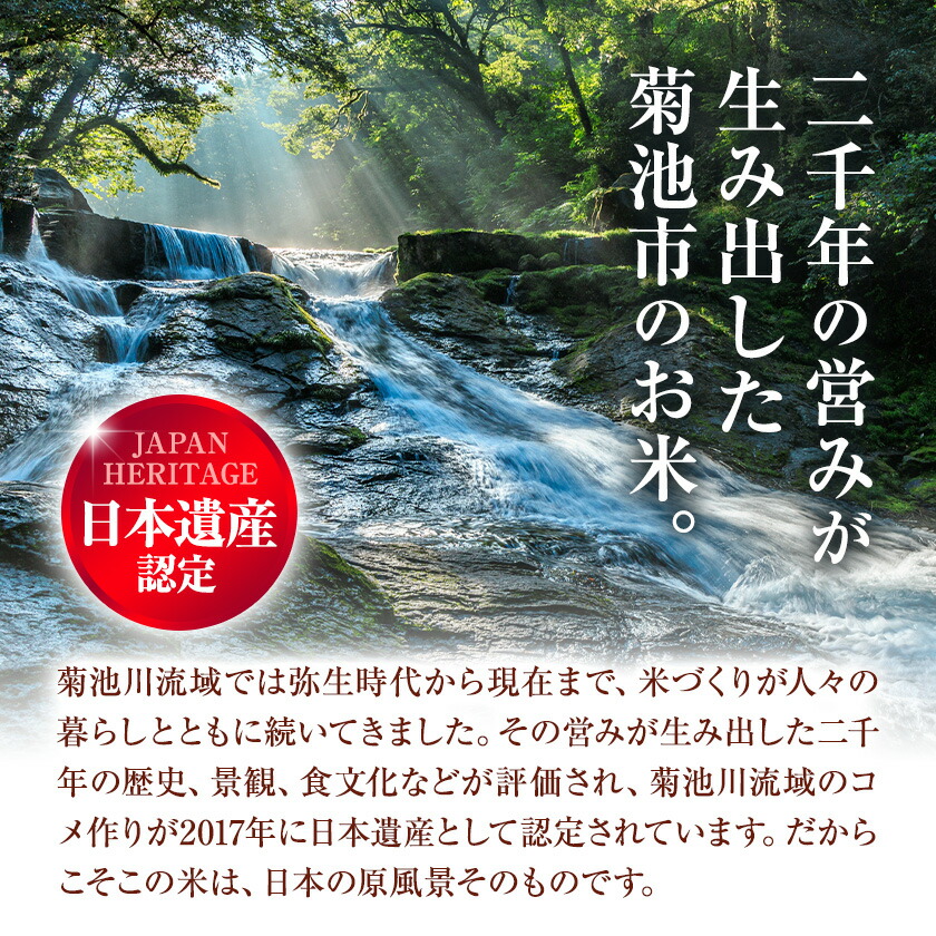 令和7年産 きくち棚田無洗米 10kg ひのひかり《30日以内に出荷予定(土日祝除く)》熊本県 菊池市 米 こめ ヒノヒカリ お米 ブランド米 単一原料米 菊池---003-5010---