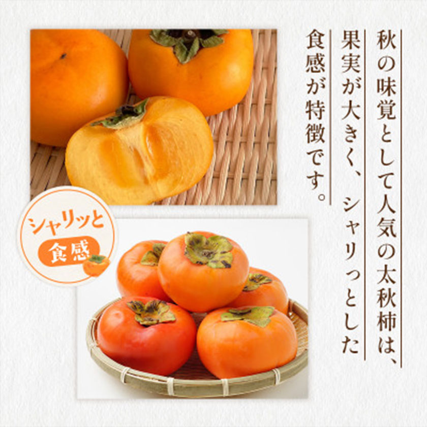 太秋柿 柿 約2kg 株式会社エフビーネット《10月上旬-11月上旬頃出荷》熊本県 菊池市 柿 かき たいしゅうがき 果物 フルーツ 秋の味覚 旬 デザート---034-5015---