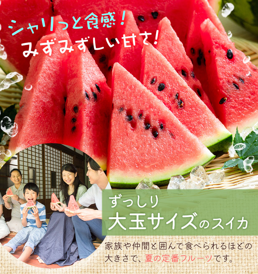 【先行予約】大玉すいか 1玉 約4kg 株式会社エフビーネット《5月上旬-7月中旬頃出荷》熊本県 菊池市 すいか スイカ 大玉 熊本県産 フルーツ---034-5011---