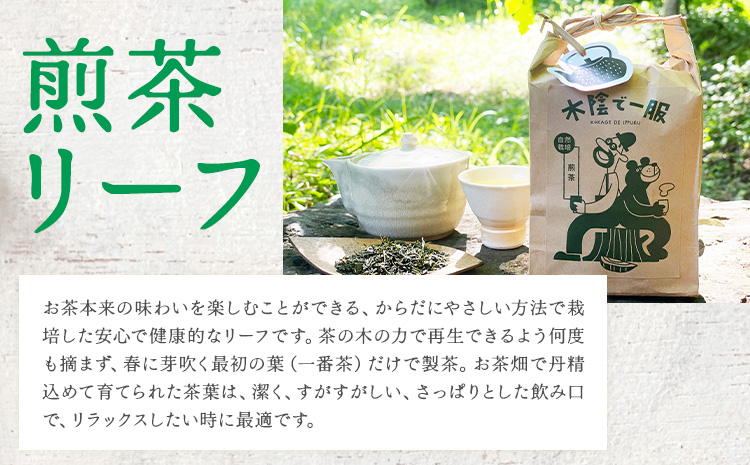 茶 自然栽培茶 煎茶リーフ ほうじ茶リーフ の HARIO （ハリオ） フィルターインボトル の セット 計4袋 ＋ 1本 合同会社原田山業《90日以内に出荷予定(土日祝を除く)》 熊本県 菊池市 煎茶 ほうじ茶 茶葉 ボトル付き 自然栽培 水出し フィルター ボトル---098-2649---