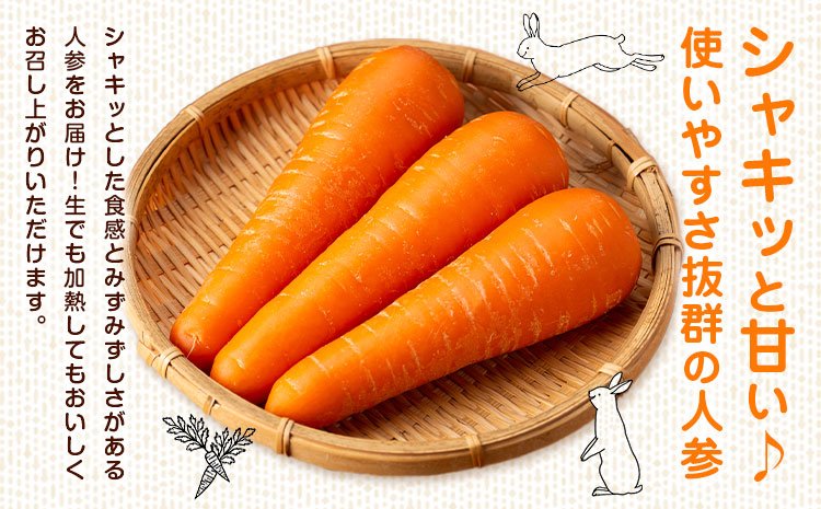 【先行予約】人参 約5kg (17-33本) 日本フルーツ株式会社《2026年4月上旬-6月上旬頃出荷》熊本県 菊池市 にんじん ニンジン 野菜 熊本県産---308-0011---