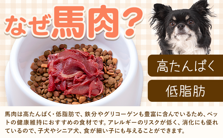 ペット用馬肉 2kg 五右衛門フーズ《30日以内に出荷予定(土日祝除く)》 ペット用 犬用 肉 馬肉 熊本県 菊池市---187-2343---