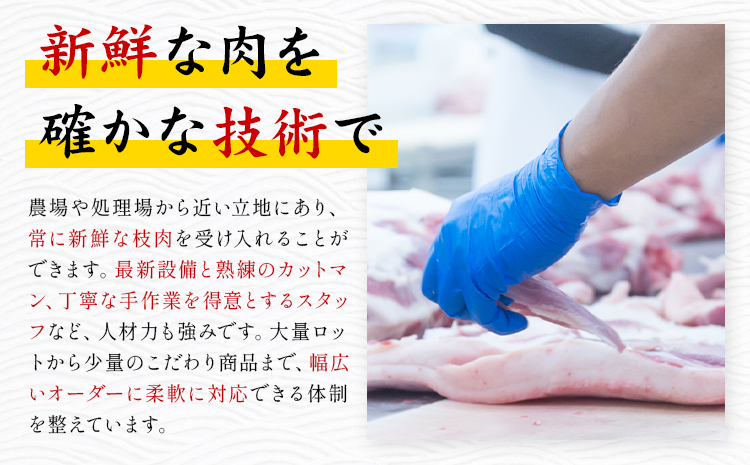 おつまみ セット 株式会社共同 熊本ミートセンター ソーセージ ウィンナー《30日以内に出荷予定(土日祝除く)》 ベーコン スモーク チキン 燻製 肉 お肉 晩酌 ツマミ おかず 熊本県 菊池市---087-2082---