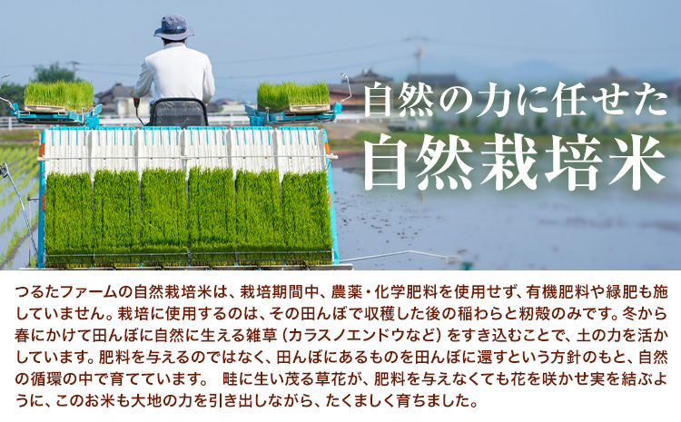 令和7年産 つるたファームの米 自然にこまる 自然栽培米 にこまる 5kg 株式会社七城の恵み《30日以内に出荷予定(土日祝除く)》熊本県 菊池市 米 にこまる つるたファーム---126-2521---