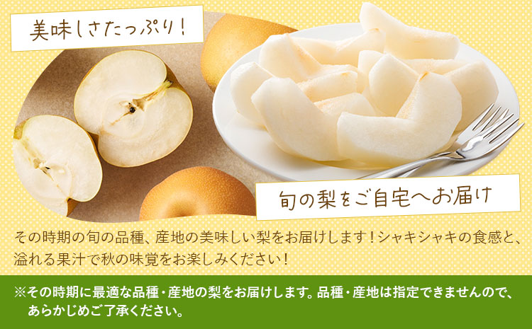 【先行予約】梨 訳あり梨 約2kg-2.5kg(6-10玉) 《2026年8月下旬-10月下旬頃出荷》 株式会社Foody’s なし 和梨 フルーツ 果物 ご家庭用 不揃い キズあり 菊池市産 熊本県産 九州産---177-2380---