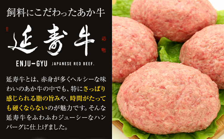 熊本県産 延寿牛 あか牛 ハンバーグ 約150g×10個 合計約1.5kg 株式会社原田畜産《30日以内に出荷予定(土日祝除く)》小分け 個包装 お肉 和牛 ハンバーグ 焼くだけ 熊本県産 九州産 国産 冷凍 送料無料---184-2651---
