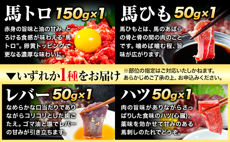 7種のバラエティ馬刺しセット 600g《6月中旬-9月中旬頃出荷》赤身 さし 上ロース たてがみ コーネ 馬トロ 馬ひも レバー ハツ 国産 熊本肥育 冷凍 生食用 肉 絶品 牛肉よりヘルシー 馬肉 熊本県 菊池市 送料無料---kikuchi_lcl_285_600g---