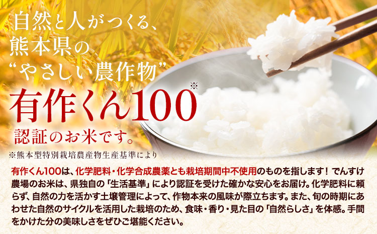 【6ヶ月定期便】令和7年産 精米 七城のこめ 15kg《お申込み翌月から出荷》熊本県 菊池市 米 白米 ヒノヒカリ でんすけ農場---309-4020---