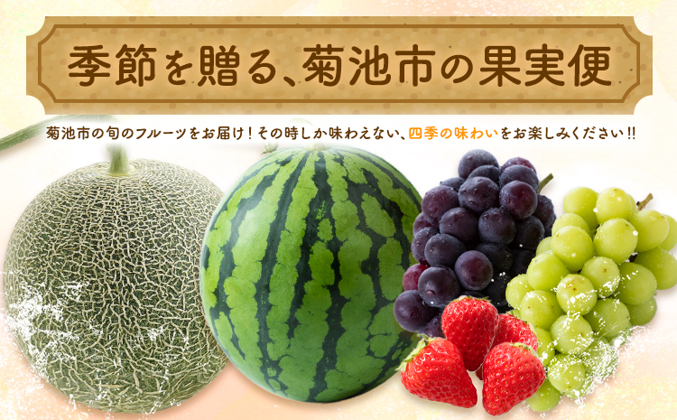 【4回定期便】旬のフルーツ便【養生市場】 定期便 ぶどう詰め合わせ約1.5kg メロン約2kg×2玉 いちご   スイカ《2026年4月中旬-2027年3月上旬頃出荷》 果物 フルーツ 九州産 熊本県産 送料無料---003-1583---
