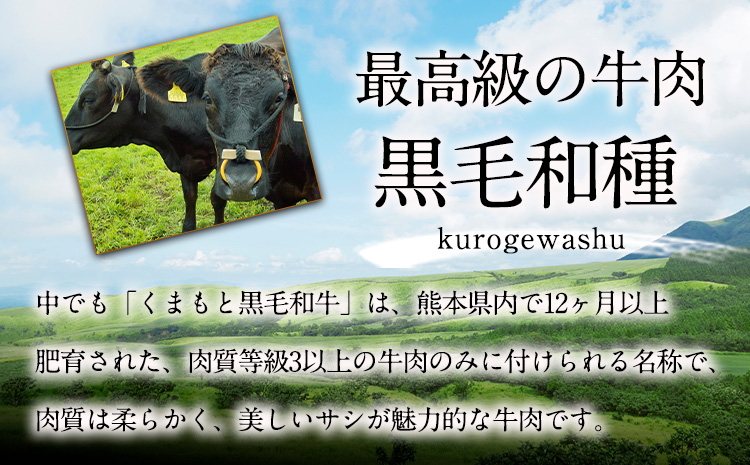 牛肉 くまもと黒毛和牛 すき焼き用 500g 桜屋《30日以内に出荷予定(土日祝除く)》熊本県 菊池市 肉 黒毛和牛 すき焼き---114-1879---