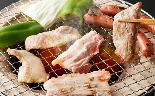 豚肉（金TONG）焼肉＆ウインナー セット 計1kg 4種 食べ比べ 国産《90日以内に出荷予定(土日祝除く)》---005-1972---